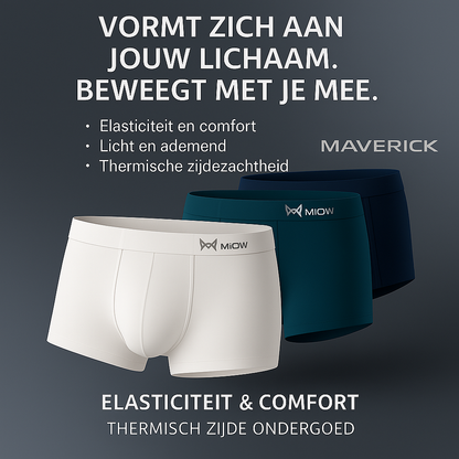 Ice Boxer Pro™ - Sous-vêtements Thermiques en Soie