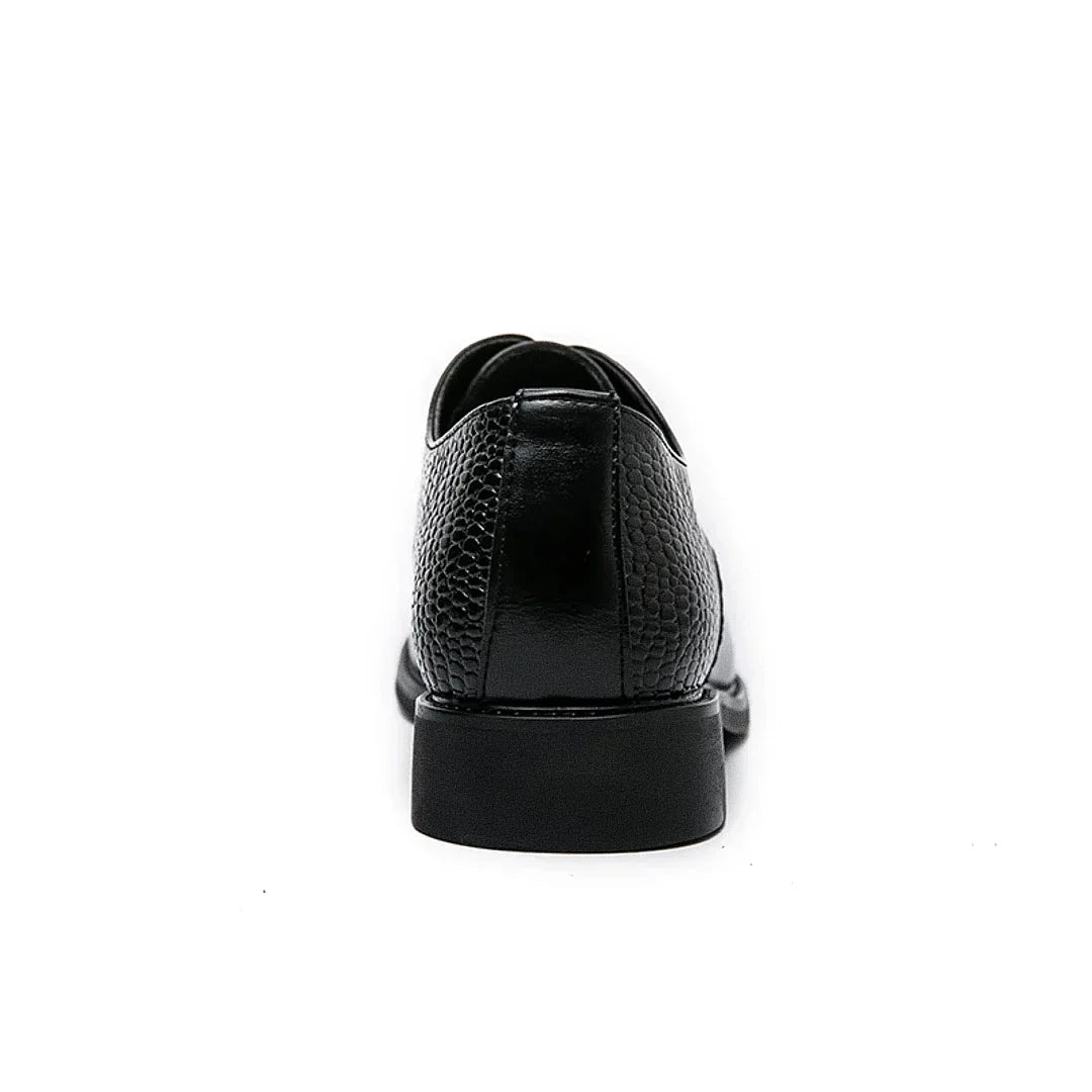 Chaussures Derby Homme Aranjuez