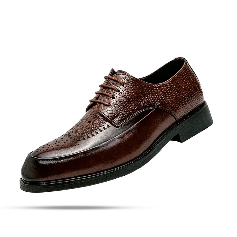 Chaussures Derby Homme Aranjuez