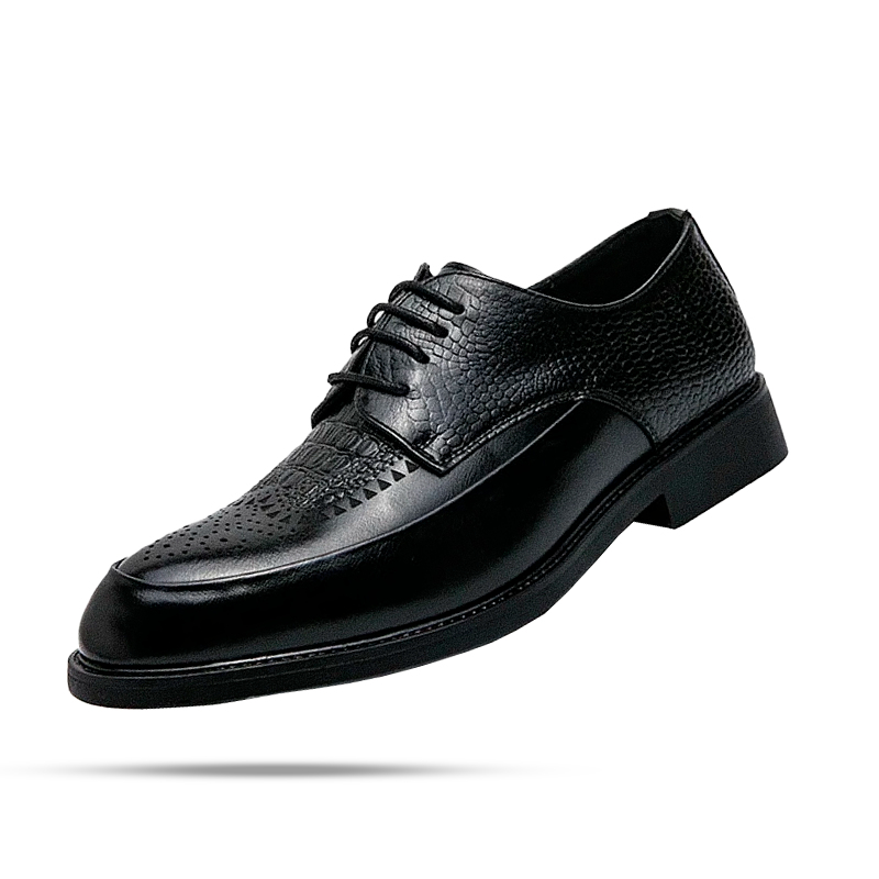 Chaussures Derby Homme Aranjuez