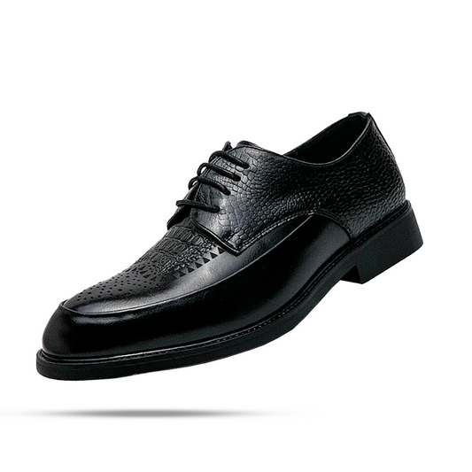 Chaussures Derby Homme Aranjuez